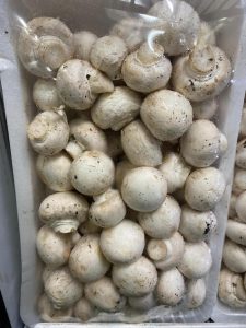 Hongos Comestibles En Fresco Deshidratado Harina Y Pate De Hongos