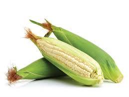 Choclo