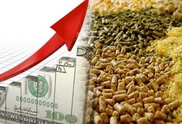 Concentrado Para Vacas Yo Caballos