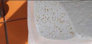 Queso Salado Picado