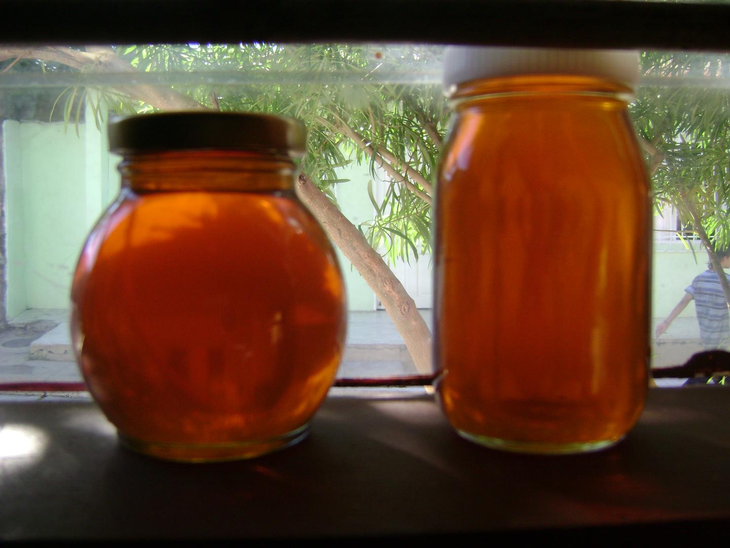 Miel De Abejas Coopi Bee