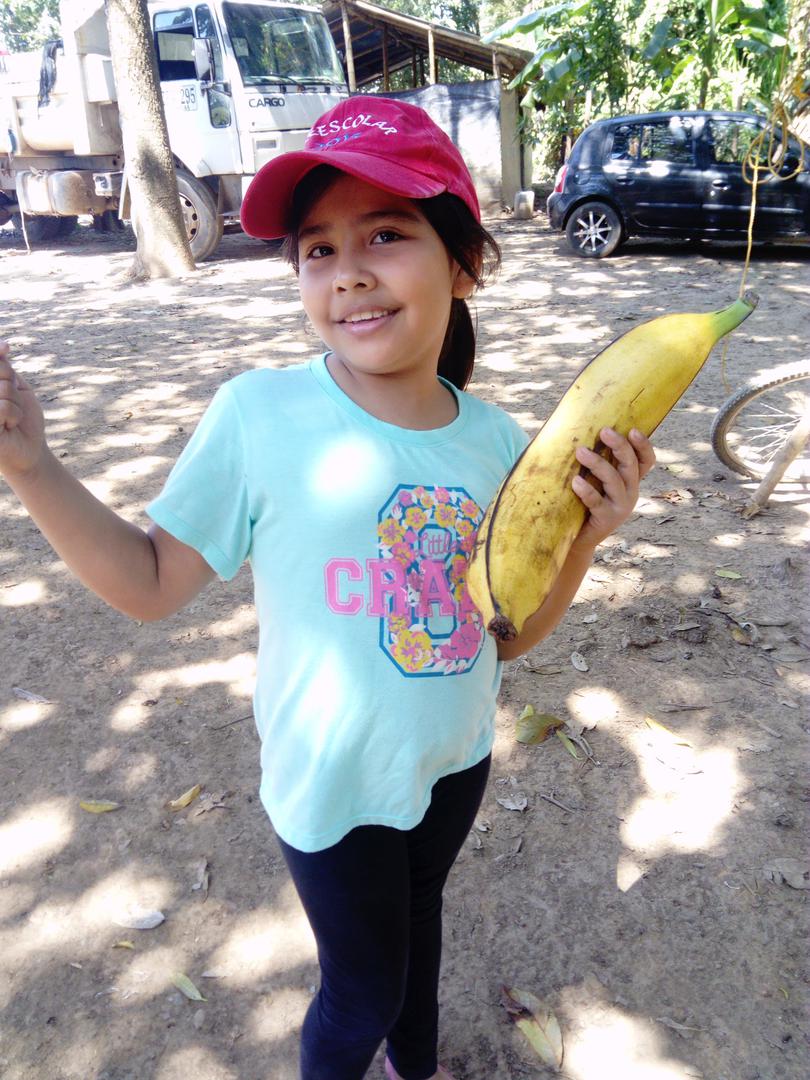 Platano