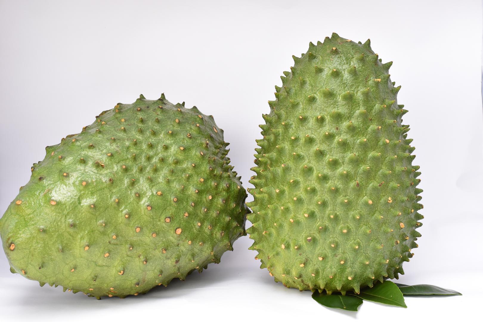 Guanabana Tecnificada