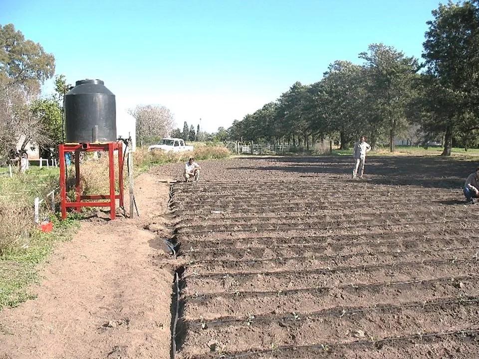 Goteros Para Riego Por Goteo Tipo Regadera X 500 Undades