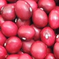 Frijol Bola Roja