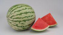 Patilla Baby Pequena O Personal