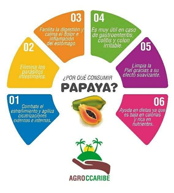 Papaya Tainung