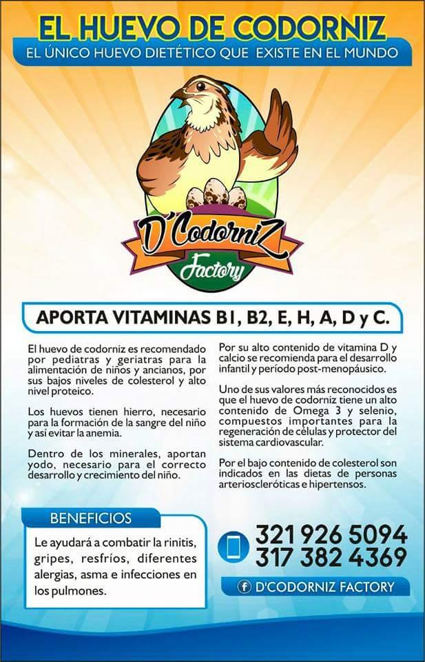 Huevos De Codorniz