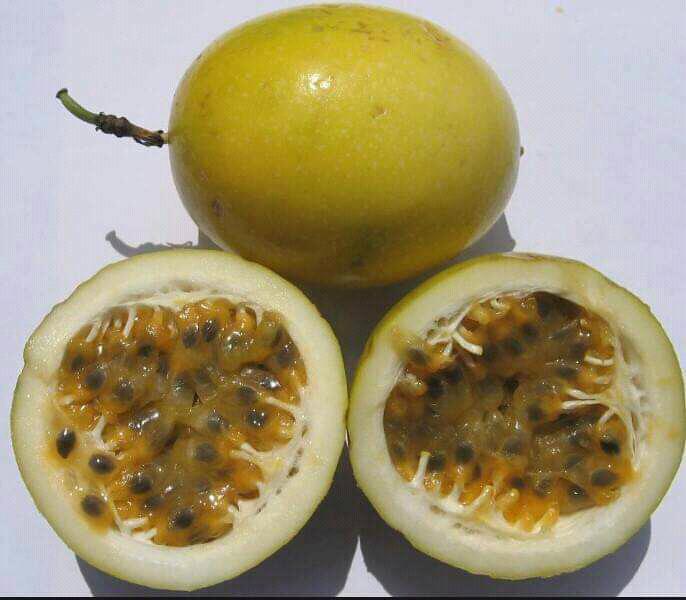 Maracuya