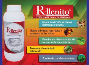 R Llenito