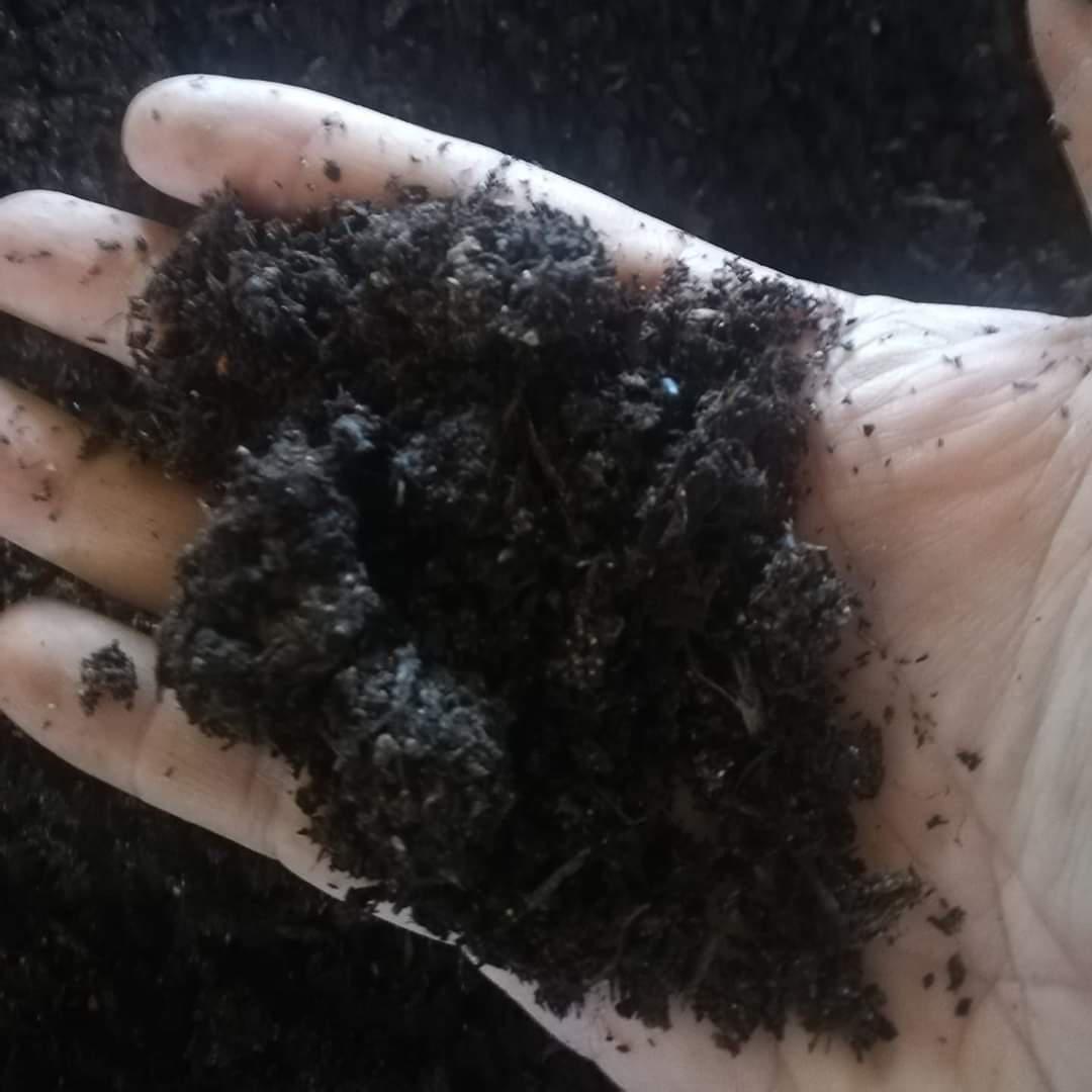 Humus De Lombriz Roja Californiana