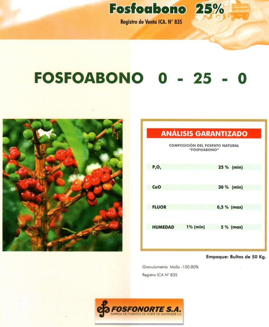 Roca Fosforica