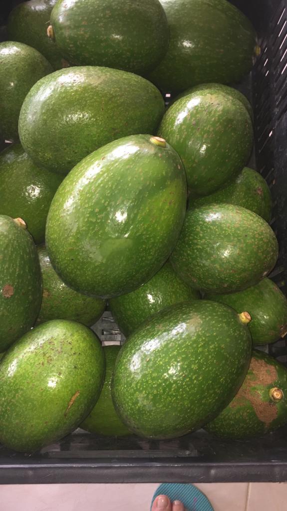 Aguacates Gourmet