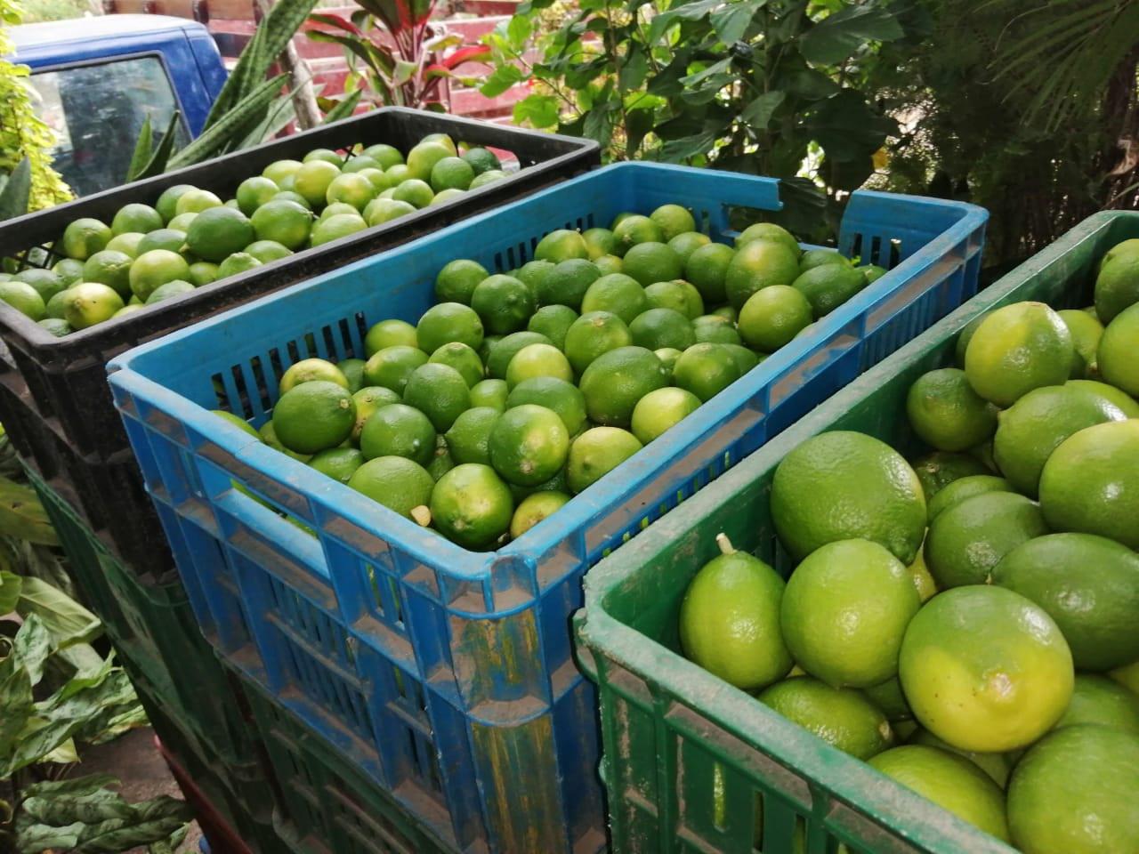 Limon Tahiti