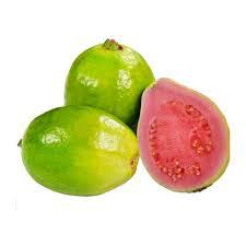 Guayaba Tipo Pera Ica 1