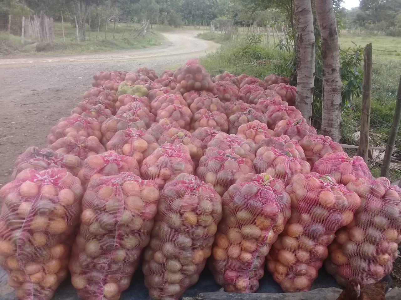 Maracuya Amarilla