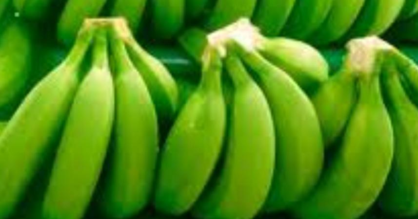Platano Enosi