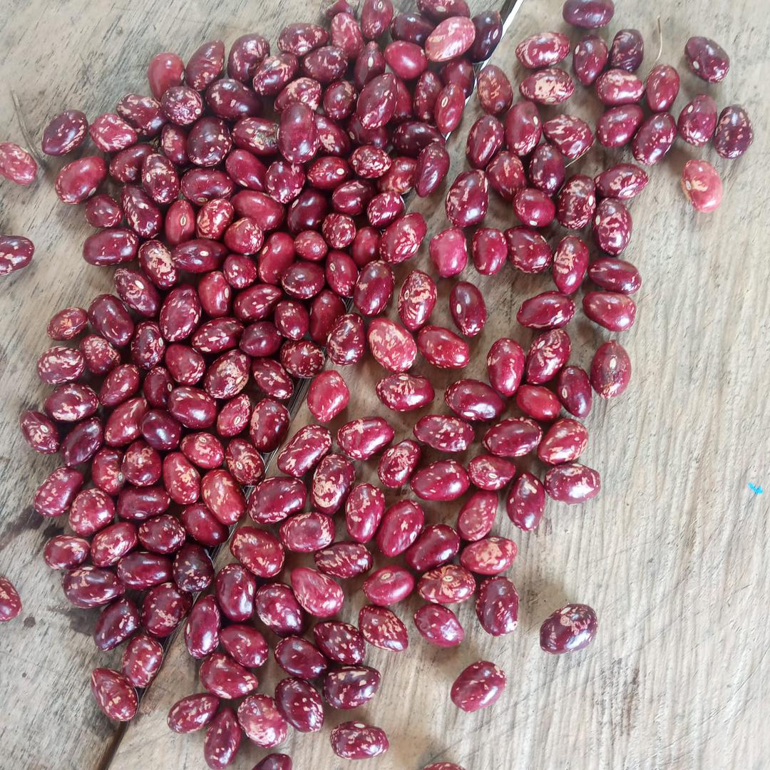 Frijol Cargamanto Rojo Y Blanco