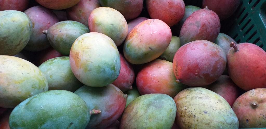 Mango Farchi