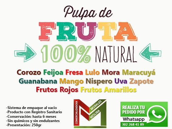 Pulpa De Frutas 100 Naturales