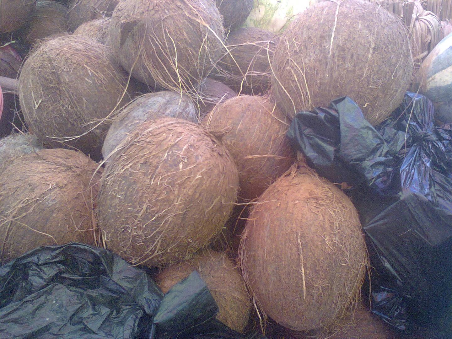 Coco