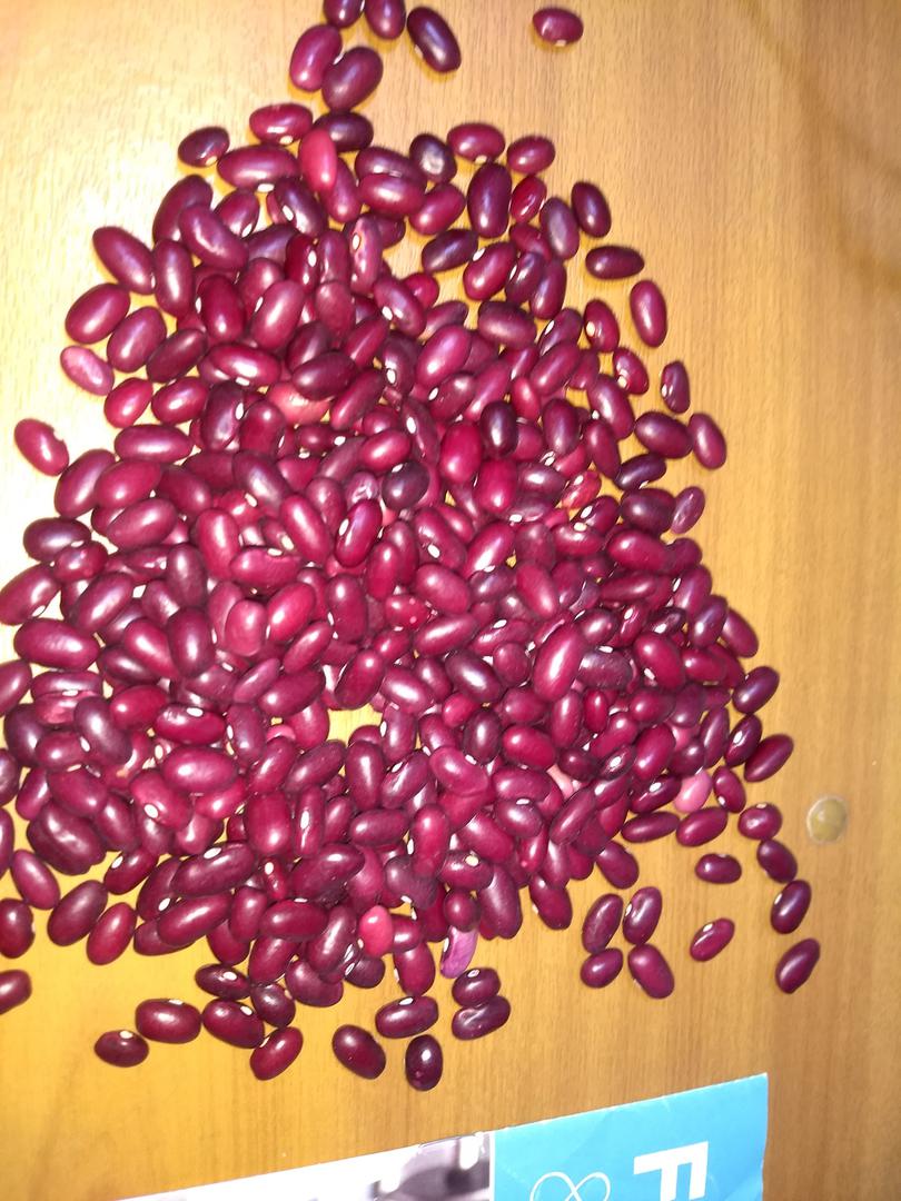 Semilla De Frijol Ica Cerinza