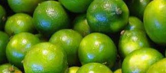 Limon Comun O Limon Castilla
