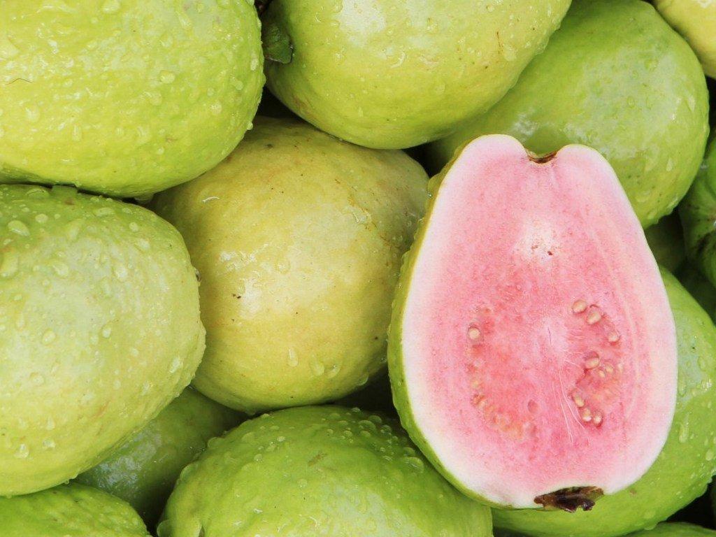 Guayaba Pera