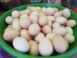 Huevos