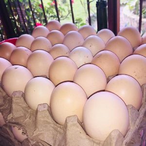 Huevos Criollos Canasta Por 30 Unidades