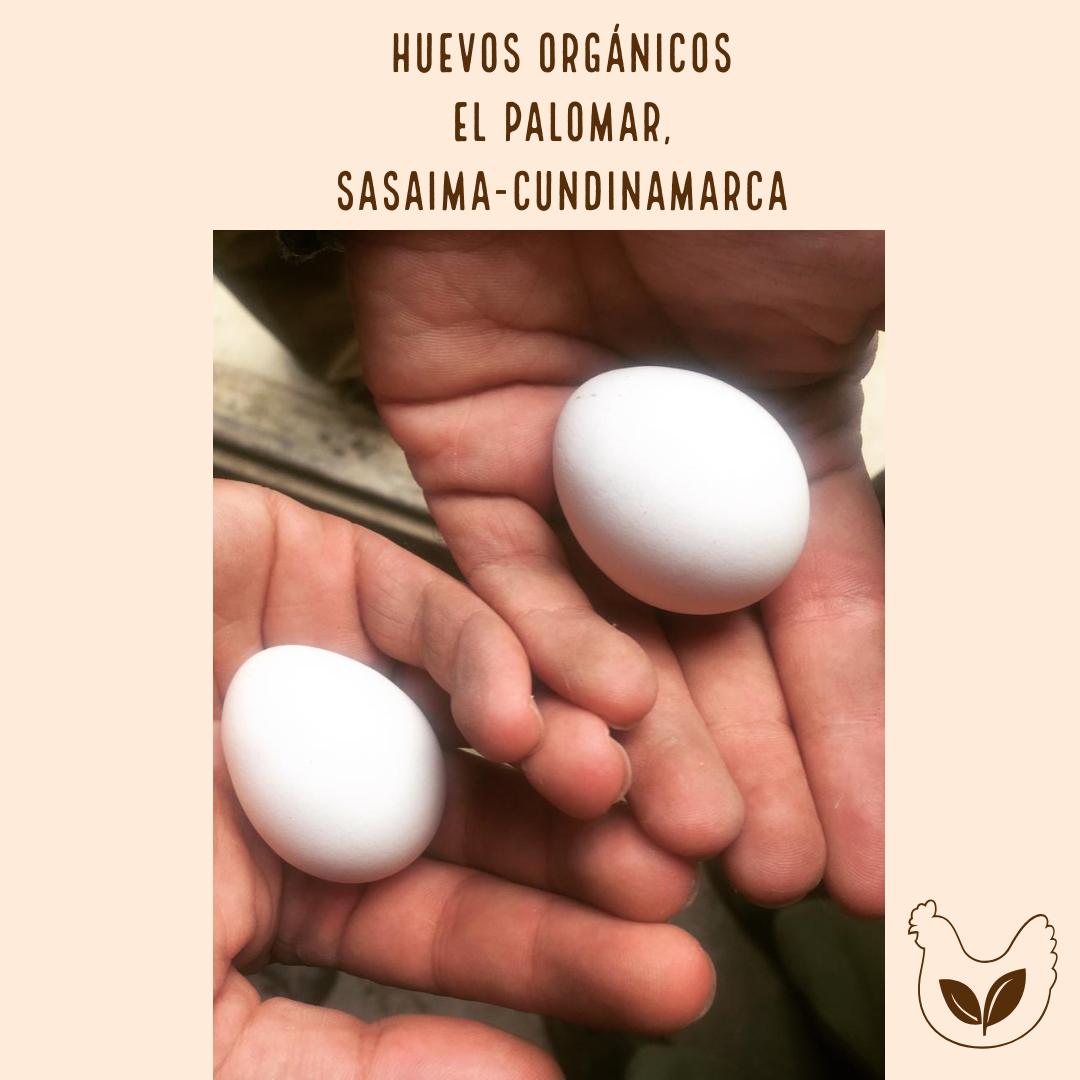 Huevo Organico
