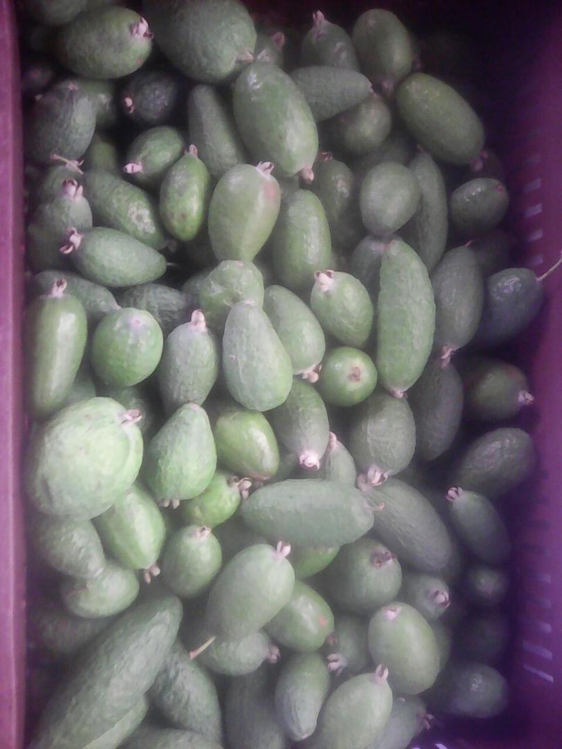 Fruta Feijoa
