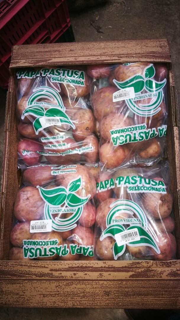 Papa Lavada En Malla O Bolsa