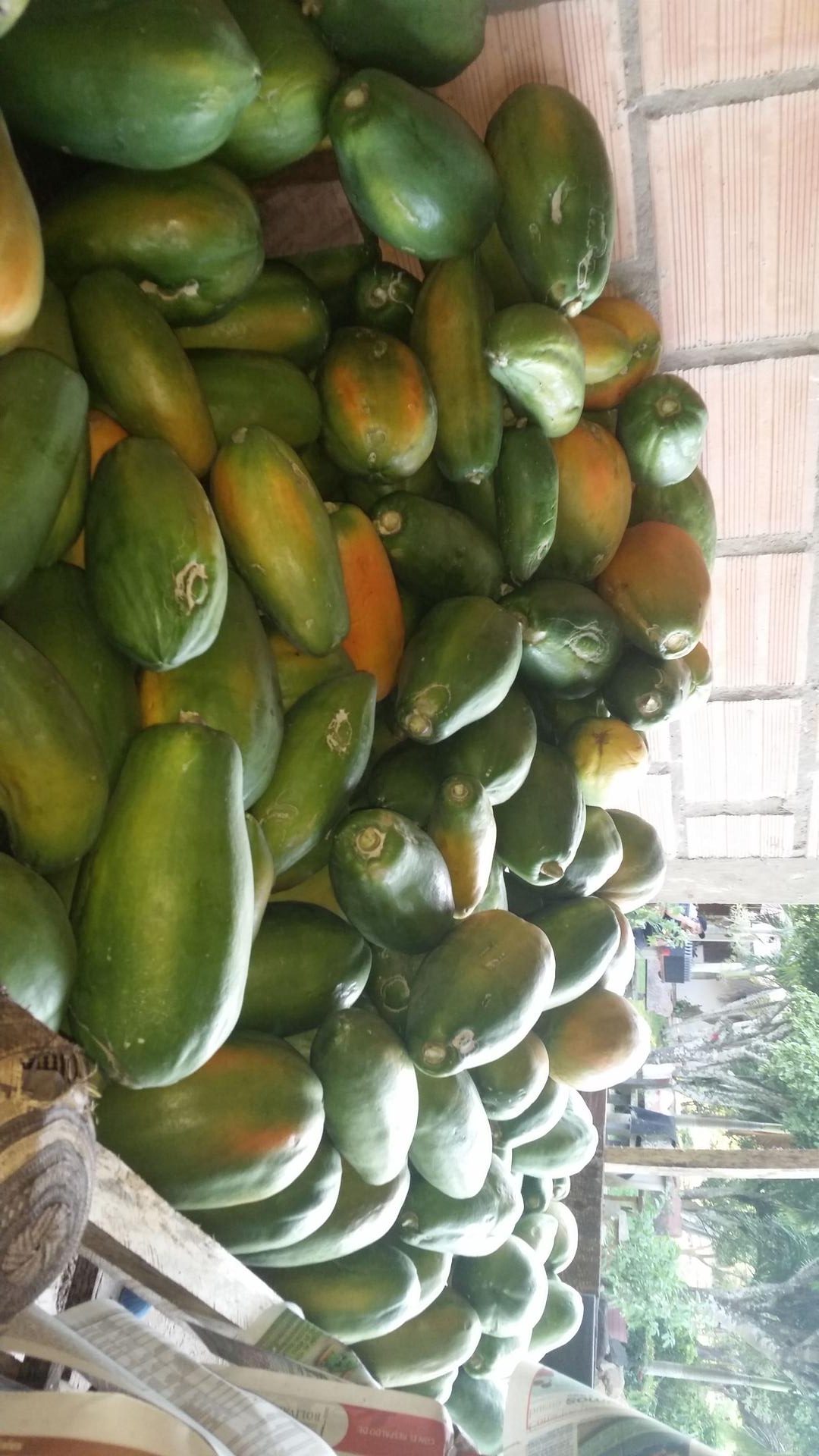 Fruta