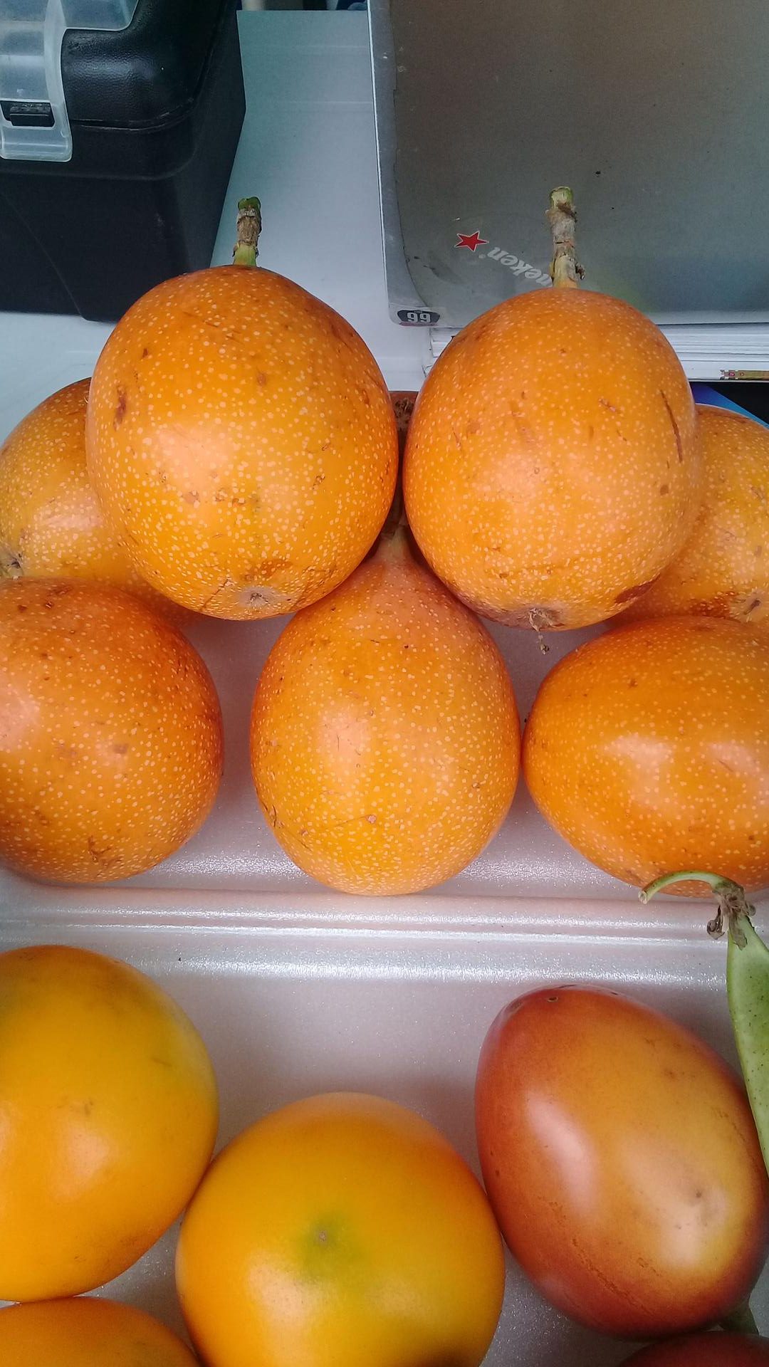 Granadilla
