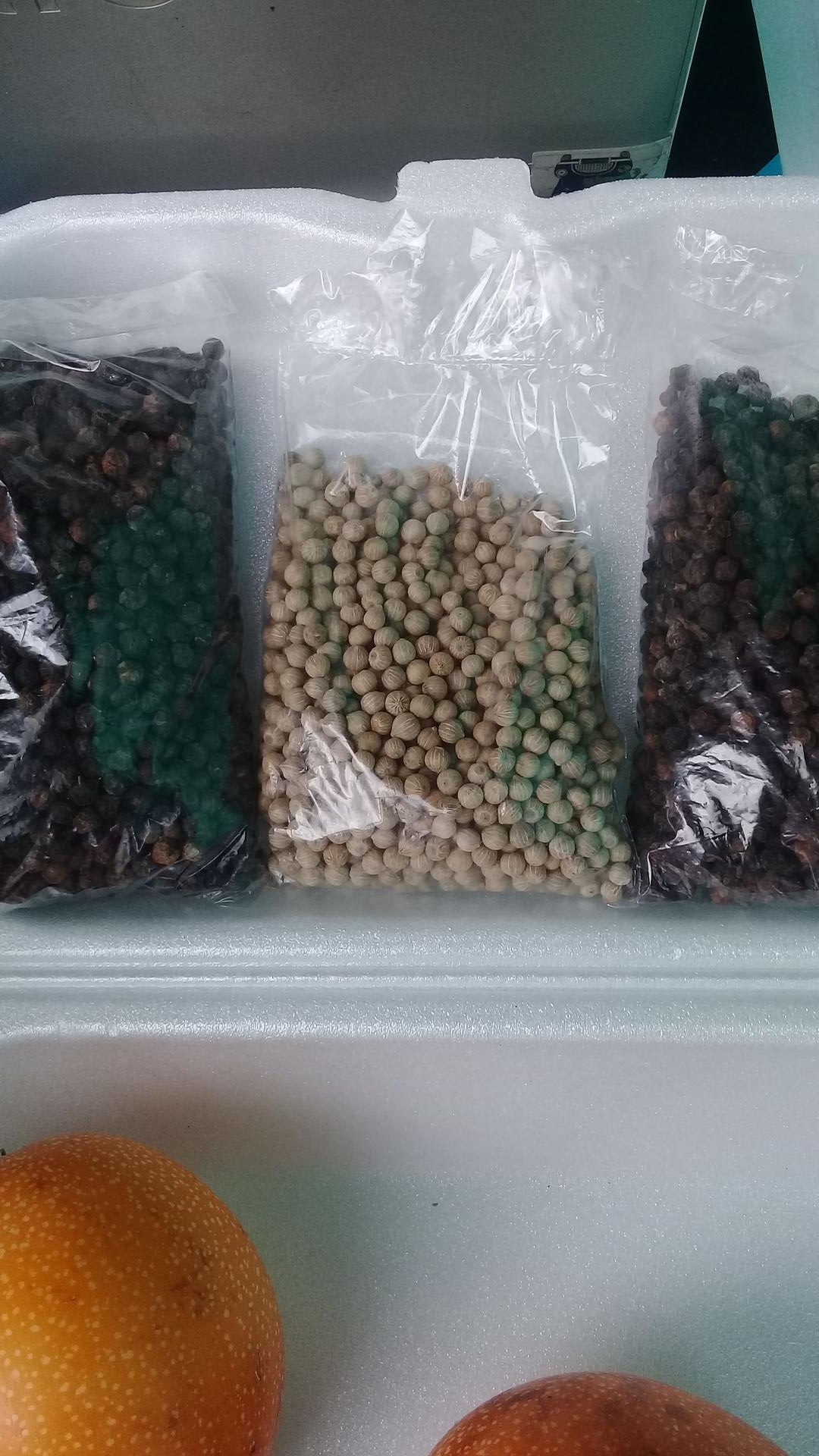 Pimienta