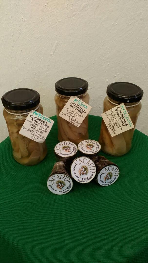 Hongos Comestibles