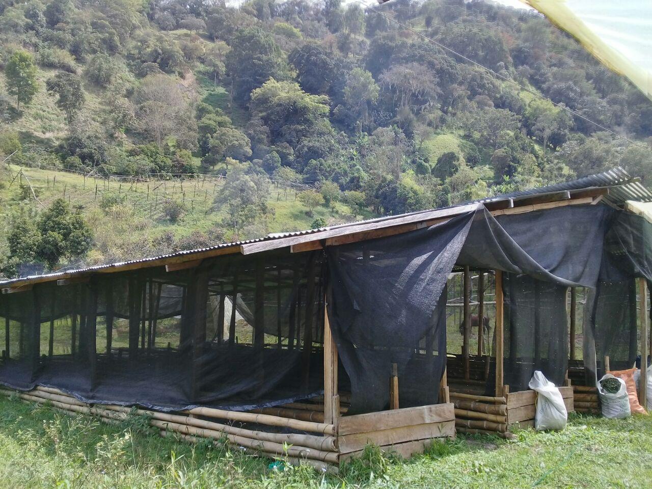 Lombricompuesto