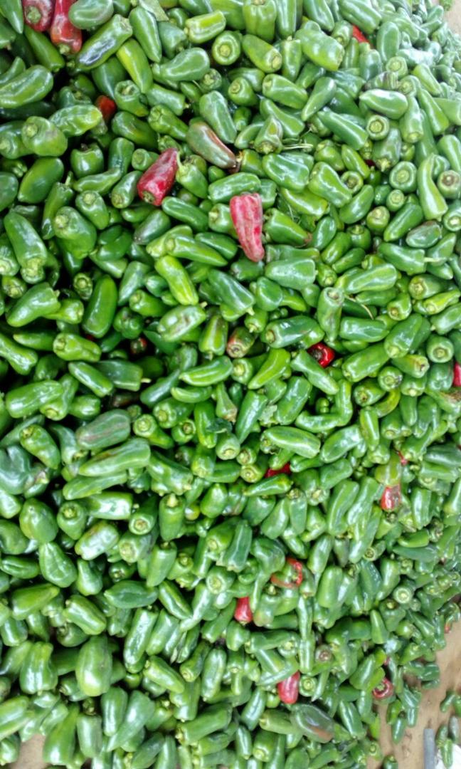 Aji Pimenton