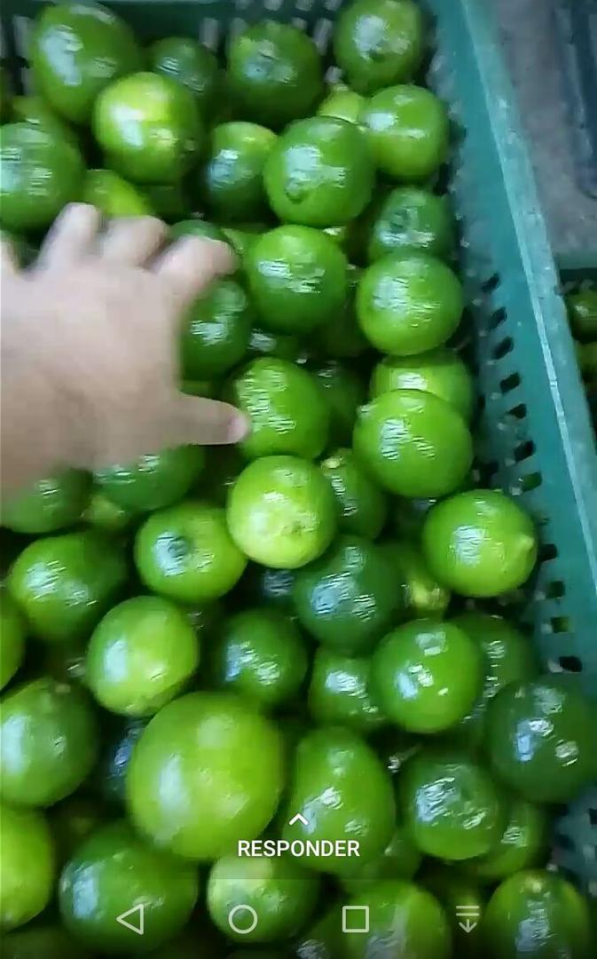 Limon Tahiti