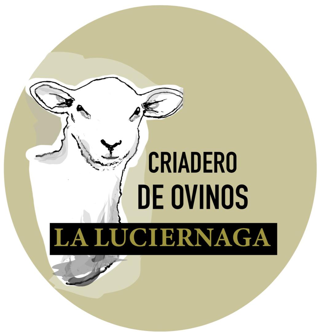 Criadero De Ovinos