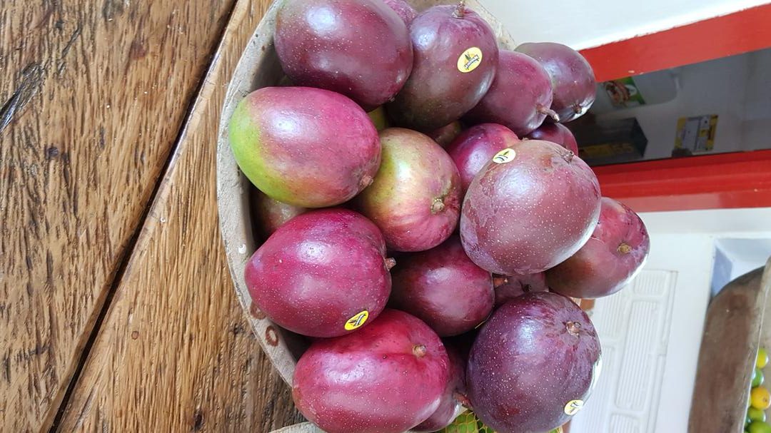 Mango