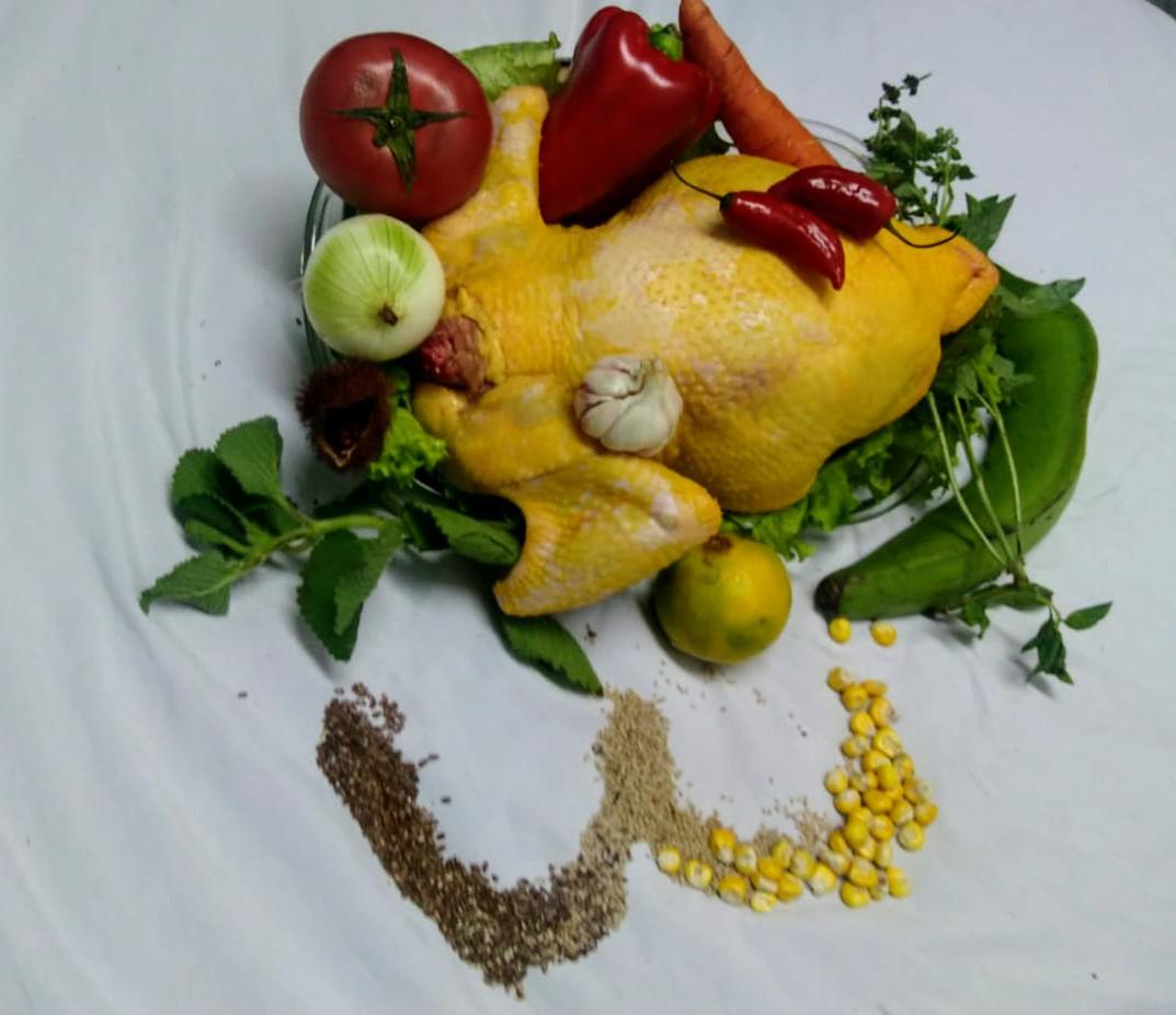 Pollos Organicos