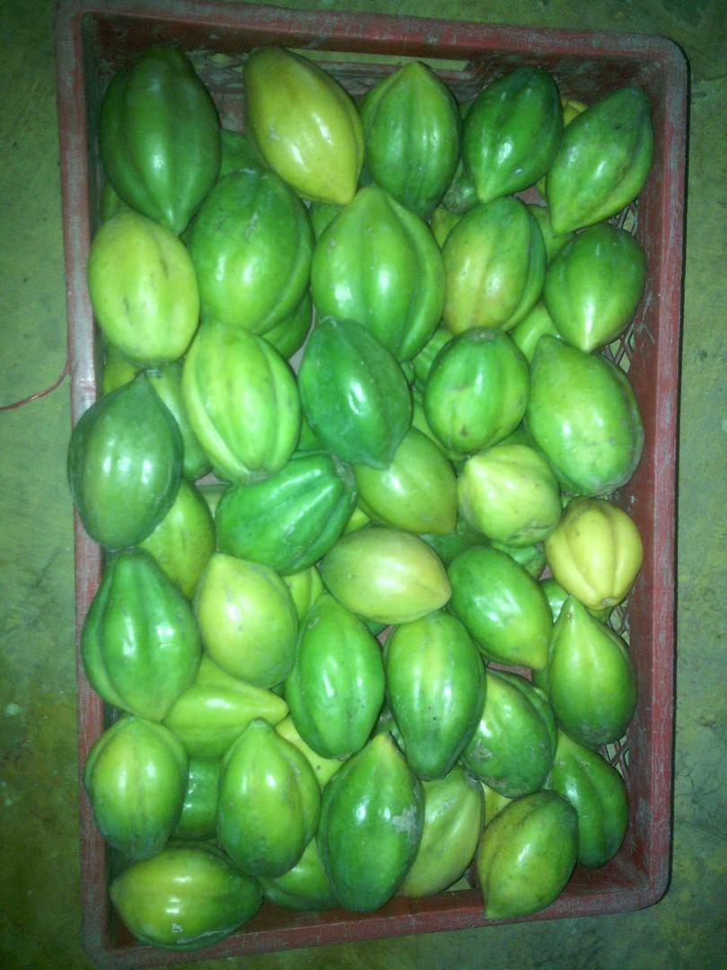 Papayuela