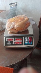 Pollo Criollo Para Consumo