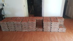 Huevos A Aa Jumbo Y Criollo