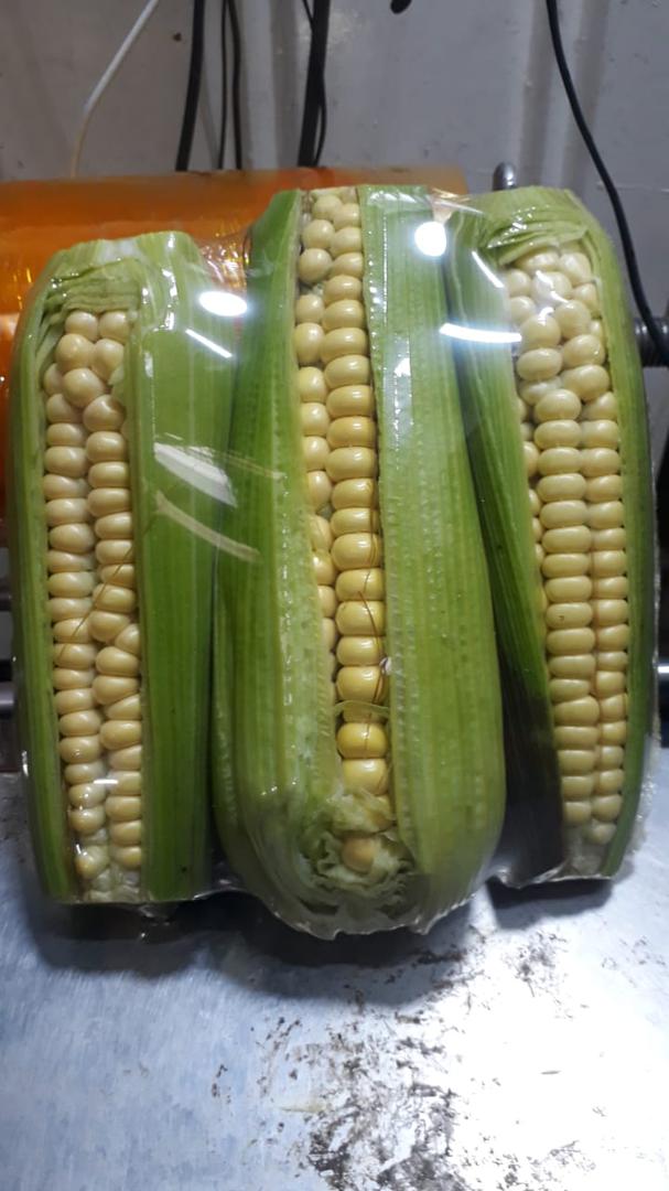 Mazorca De La Mejor Calidad