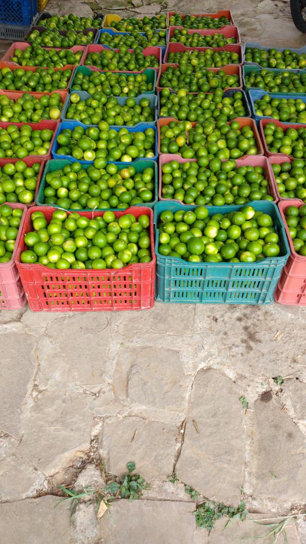 Limon Tahiti