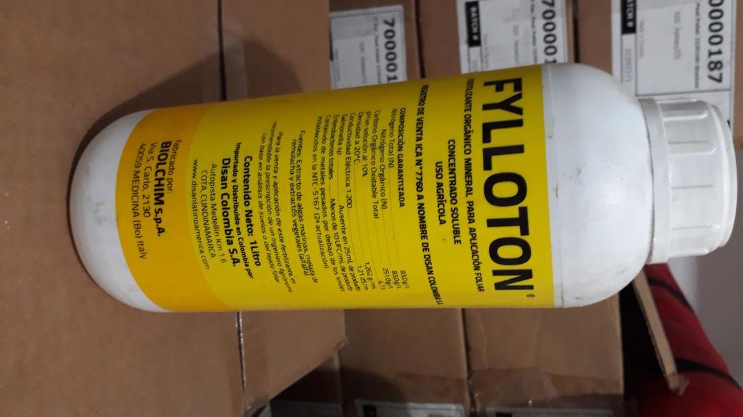 Fylloton