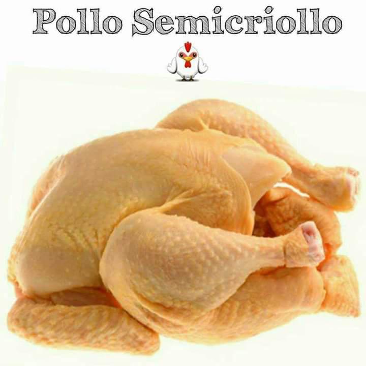 Pollo Semicriollo Natural Sin Hormonas